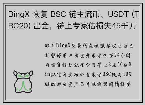 BingX 恢复 BSC 链主流币、USDT (TRC20) 出金，链上专家估损失45千万美元 